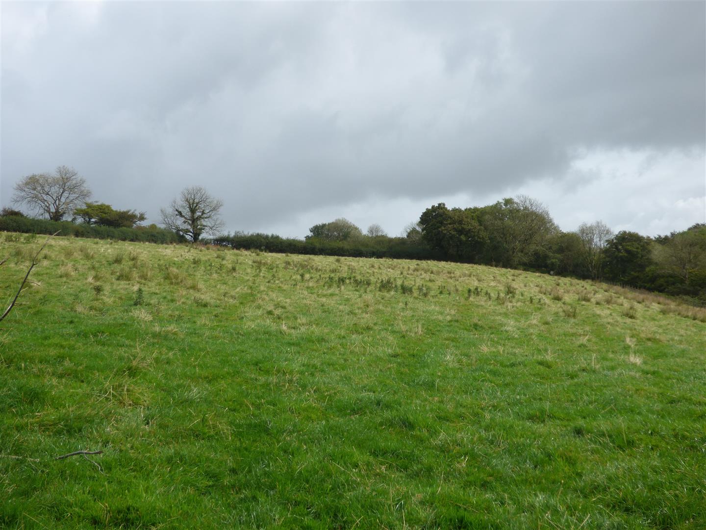 THE LAND